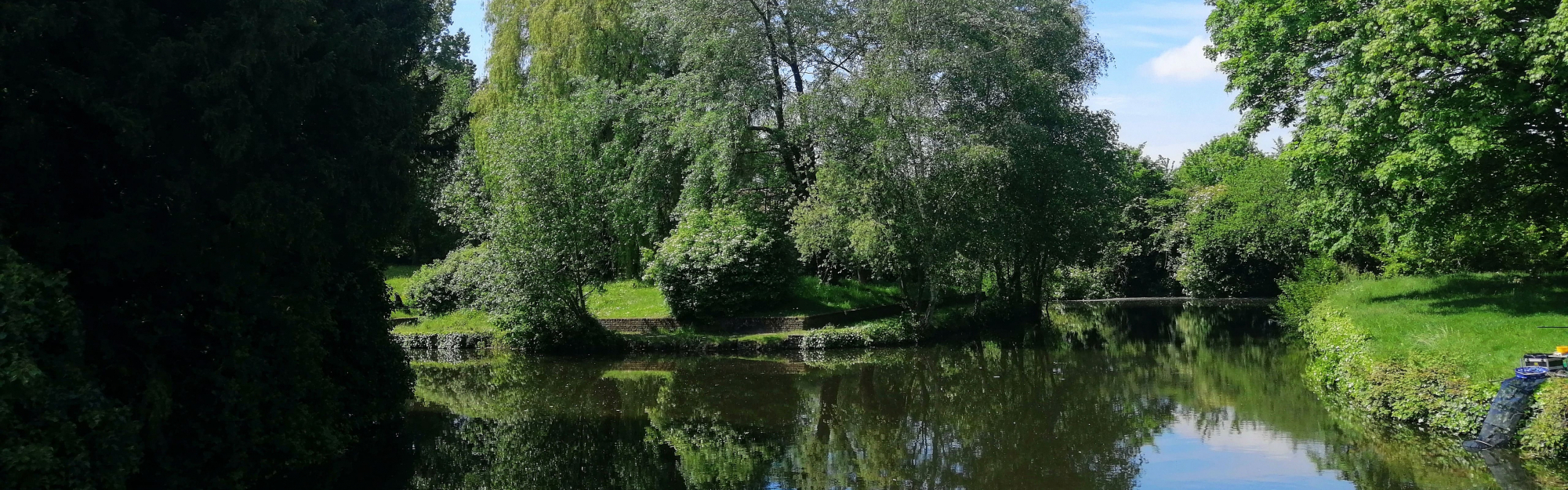 pérenchies