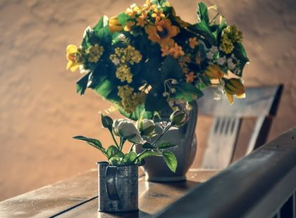 Gîtes papillons, grenouilles, le cocq